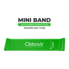 OstroVit Juego de 4 gomas de entrenamiento + bolsa