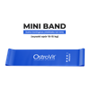 OstroVit Juego de 4 gomas de entrenamiento + bolsa