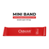 OstroVit Juego de 4 gomas de entrenamiento + bolsa
