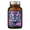 OstroVit Braintus Focus 90 cápsulas