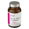 OstroVit Pharma PRO-60 BIOTIC LactoSpore 60 cápsulas
